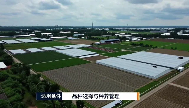 提升种植效率：运营管理中的技术指导实践