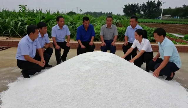 农机服务在种养风险中的适用情况与限制分析